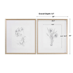 Botanical Sketches Framed Prints, S/2