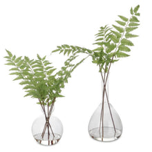 Load image into Gallery viewer, Country Ferns, Set of 2