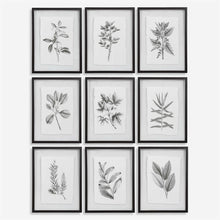 Load image into Gallery viewer, Farmhouse Florals Framed Prints, S/9
