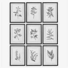Load image into Gallery viewer, Farmhouse Florals Framed Prints, S/9