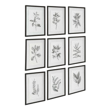 Load image into Gallery viewer, Farmhouse Florals Framed Prints, S/9
