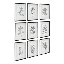 Load image into Gallery viewer, Farmhouse Florals Framed Prints, S/9