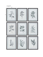 Load image into Gallery viewer, Farmhouse Florals Framed Prints, S/9