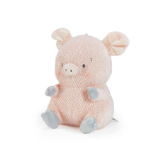 Load image into Gallery viewer, Baby Hammie the Pig