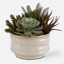 Load image into Gallery viewer, Mesa Succulent Accent