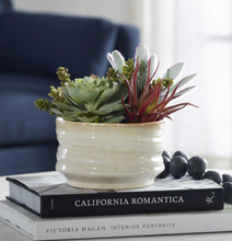 Load image into Gallery viewer, Mesa Succulent Accent