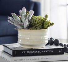 Load image into Gallery viewer, Mesa Succulent Accent