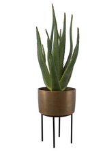 Load image into Gallery viewer, Arabia Aloe Planter