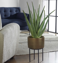 Load image into Gallery viewer, Arabia Aloe Planter