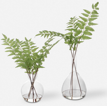 Load image into Gallery viewer, Country Ferns, Set of 2