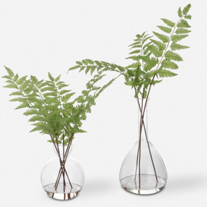 Country Ferns, Set of 2