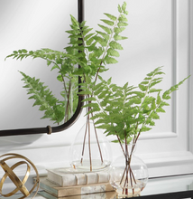 Load image into Gallery viewer, Country Ferns, Set of 2
