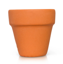 Load image into Gallery viewer, Garden Collection Minis