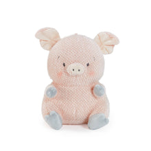 Load image into Gallery viewer, Baby Hammie the Pig
