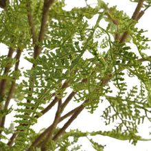 Load image into Gallery viewer, Woodland Fern Centerpiece
