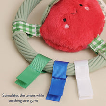Load image into Gallery viewer, *NEW* Itzy Ring Pal™ - Teething Ring with Plush Character: Taupe Bear
