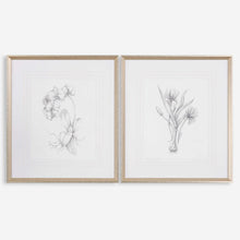 Load image into Gallery viewer, Botanical Sketches Framed Prints, S/2
