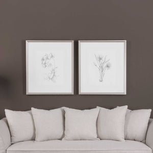 Botanical Sketches Framed Prints, S/2