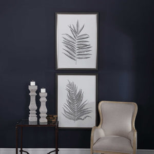 Silver Ferns Framed Prints - Set of 2