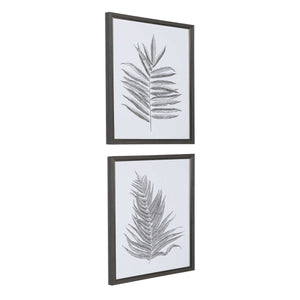 Silver Ferns Framed Prints - Set of 2