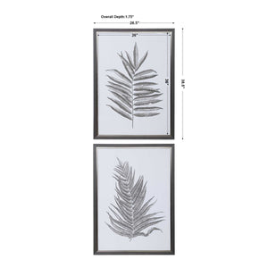 Silver Ferns Framed Prints - Set of 2