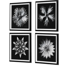 Load image into Gallery viewer, Contemporary Floret Framed Prints, S/4

