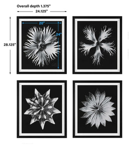 Contemporary Floret Framed Prints, S/4