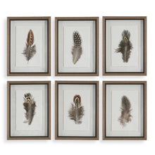Load image into Gallery viewer, Birds of a Feather Framed Prints, S/6
