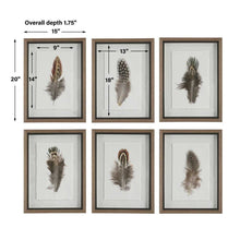 Load image into Gallery viewer, Birds of a Feather Framed Prints, S/6
