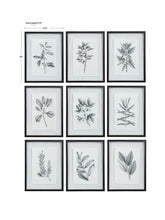 Load image into Gallery viewer, Farmhouse Florals Framed Prints, S/9
