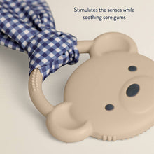 Load image into Gallery viewer, *NEW* Crinkle Crew™ : Taupe Bear
