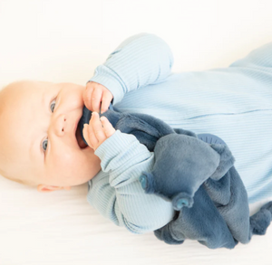 Hippo Teether Buddy