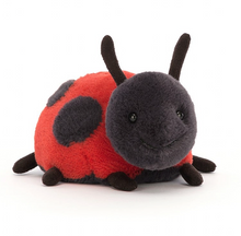 Load image into Gallery viewer, Layla Ladybird
