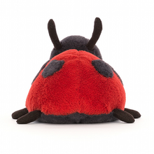 Load image into Gallery viewer, Layla Ladybird
