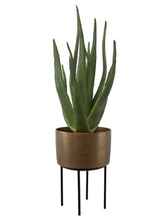 Load image into Gallery viewer, Arabia Aloe Planter
