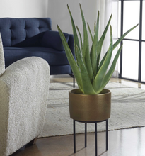 Load image into Gallery viewer, Arabia Aloe Planter
