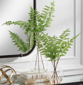 Country Ferns, Set of 2