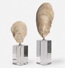 Load image into Gallery viewer, Oyster Shell Sculptures, Set of 2

