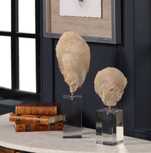 Load image into Gallery viewer, Oyster Shell Sculptures, Set of 2
