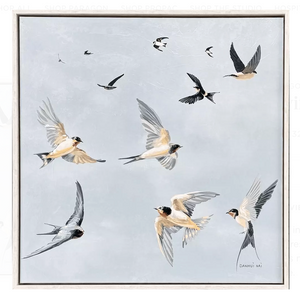 Swifts