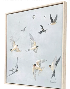 Swifts