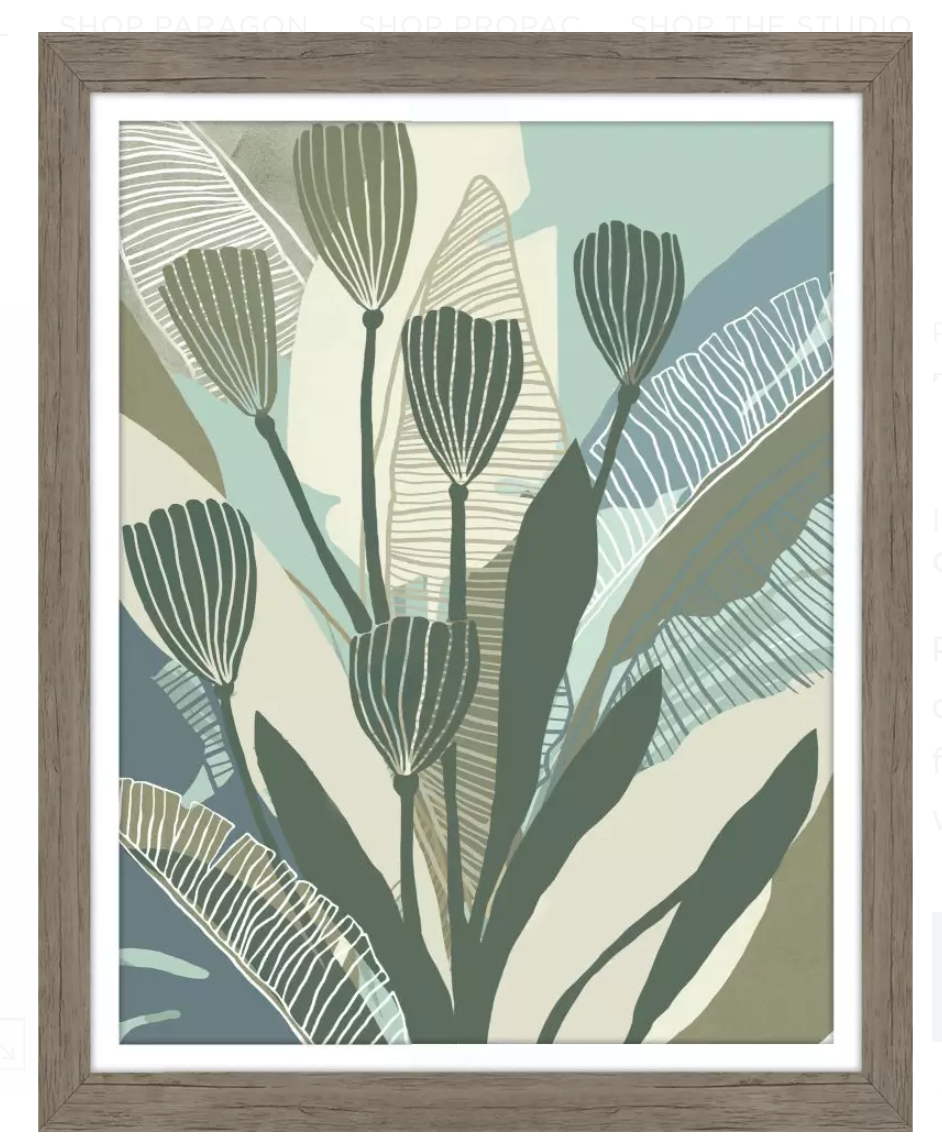 Birch Silhouette II