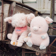 Load image into Gallery viewer, Baby Hammie the Pig

