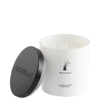 Load image into Gallery viewer, Luxe Northeast Beaches Candles: Hamptons, Kennebunkport, Martha&#39;s Vineyard, Montauk, Nantucket
