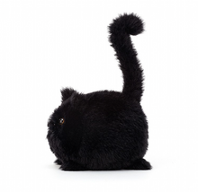 Load image into Gallery viewer, Kitten Caboodle Black
