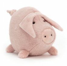Load image into Gallery viewer, Higgledy Piggledy Pink

