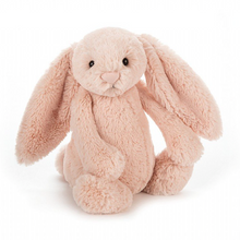 Load image into Gallery viewer, Bashful Blush Bunny
