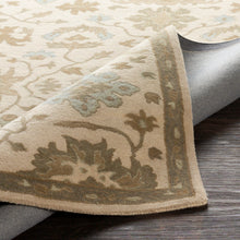 Load image into Gallery viewer, Caesar Beige &amp; Sage Area Rug
