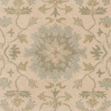 Load image into Gallery viewer, Caesar Beige &amp; Sage Area Rug
