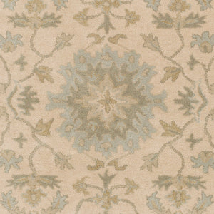 Caesar Beige & Sage Area Rug